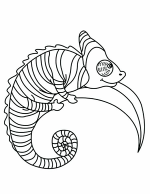 Disegno di camaleonte da stampare e colorare 9