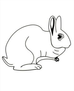 Disegno di coniglio da stampare e colorare 202
