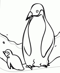 Disegno di pinguino da stampare e colorare 5