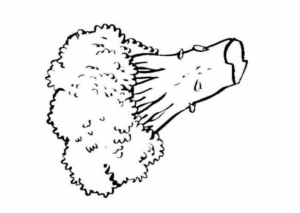 Disegno di broccolo da stampare e colorare 12
