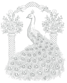 Disegno di pavone da stampare e colorare 23