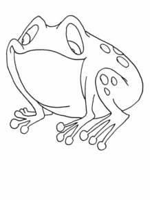 Disegno di rana da stampare e colorare 6
