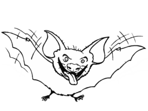 Disegno di pipistrello da stampare e colorare 2