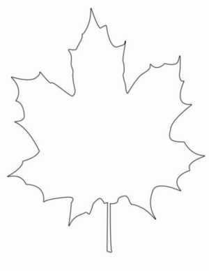 Disegno di foglia da stampare e colorare 48