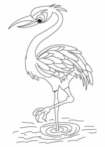 Disegno di fenicottero da stampare e colorare 8