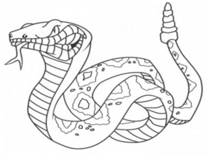 Disegno di serpente da stampare e colorare 14