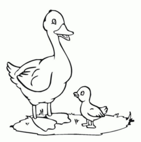 Disegno di papera da stampare e colorare 120