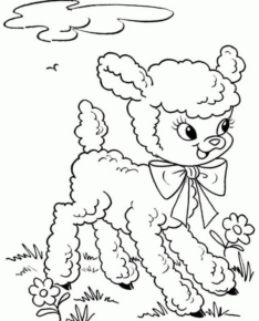Disegno di pecora da stampare e colorare 59