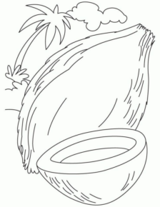 Disegno di noce di cocco da stampare e colorare 1