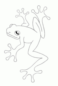 Disegno di rana da stampare e colorare 13