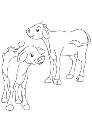 Disegno di mucca da stampare e colorare 70