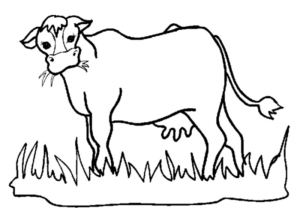 Disegno di mucca da stampare e colorare 6