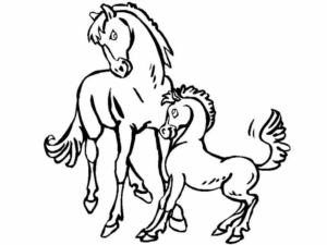 Disegno di cavallo da stampare e colorare 212