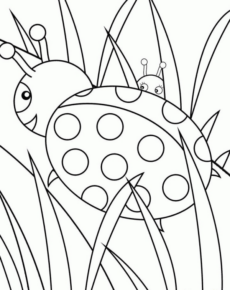 Disegno di coccinella da stampare e colorare 6