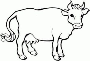 Disegno di mucca da stampare e colorare 95