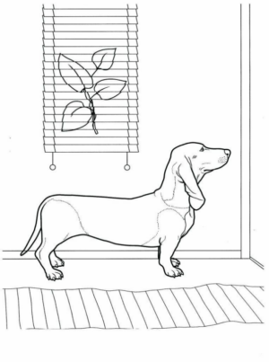 Disegno di membro della famiglia da stampare e colorare 19 Disegno di membro della famiglia da stampare e colorare 19