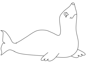Disegno di foca da stampare e colorare 34