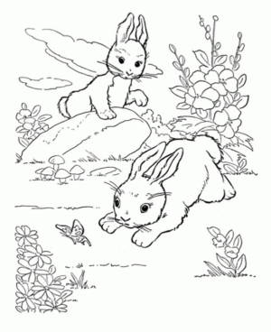 Disegno di coniglio da stampare e colorare 211