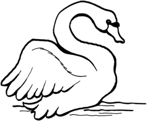 Disegno di cigno da stampare e colorare 7