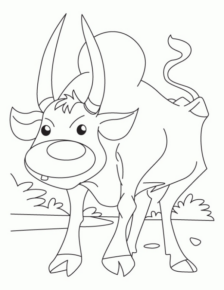 Disegno di toro da stampare e colorare 28