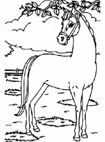 Disegno di cavallo da stampare e colorare 226
