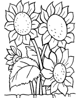 Disegno di fiore da stampare e colorare 205