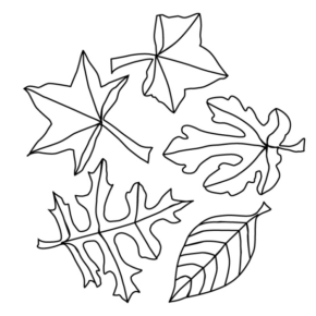 Disegno di foglia da stampare e colorare 82