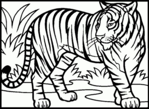 Disegno di tigre da stampare e colorare 53
