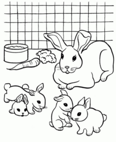 Disegno di coniglio da stampare e colorare 86