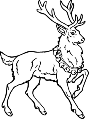 Disegno di renna da stampare e colorare 24