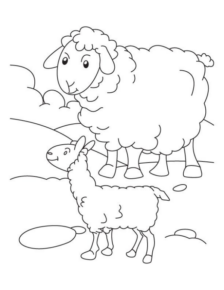 Disegno di pecora da stampare e colorare 15