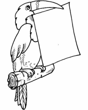 Disegno di tucano da stampare e colorare 23