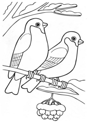Disegno di passero da stampare e colorare 6