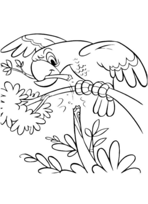 Disegno di pappagallo da stampare e colorare 83