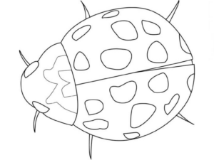 Disegno di coccinella da stampare e colorare 26