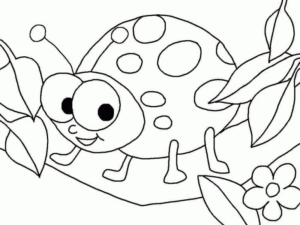 Disegno di coccinella da stampare e colorare 34