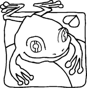 Disegno di rana da stampare e colorare 65