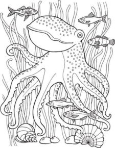 Disegno di polpo da stampare e colorare 3