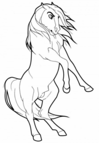 Disegno di cavallo da stampare e colorare 213