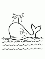 Disegni di Balene da colorare
