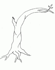 Disegno di albero da stampare e colorare 19