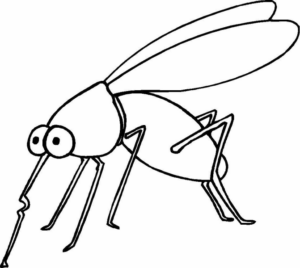 Disegno di zanzara da stampare e colorare 11