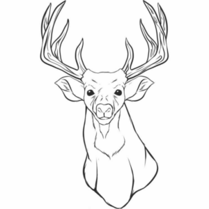 Disegno di cervo da stampare e colorare 44
