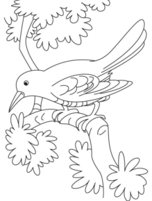 Disegno di uccello da stampare e colorare 20