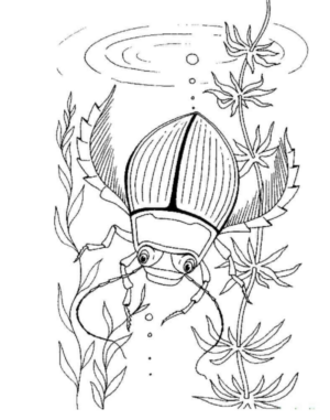 Disegno di coleottero da stampare e colorare 22