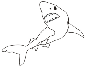 Disegno di squalo da stampare e colorare 27
