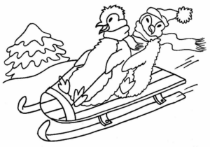 Disegno di pinguino da stampare e colorare 60