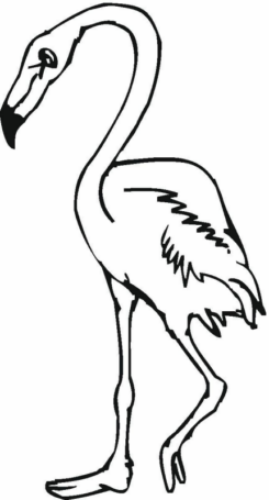Disegno di fenicottero da stampare e colorare 23
