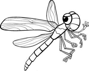 Disegno di libellula da stampare e colorare 29