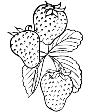 Disegno di fragola da stampare e colorare 6